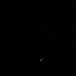 Meet your Posher, Alma